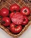 TOMATO MORTGAGE LIFTER Great Heirloom GARDEN Vegetable 30 Seeds