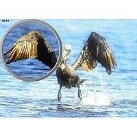 Tiffen 77HTND6 77MM Digital HT ND 0.6 Titanium Filter