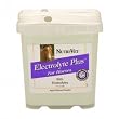 Equine Electrolyte Supplement - Electrolyte Plus Provides Minerals That Could Be Lost During Exercise - Five Pounds - Made in USA