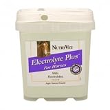 Equine Electrolyte Supplement - Electrolyte Plus Provides Minerals That Could Be Lost During Exercise - Five Pounds - Made in USA