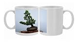 PPG-1578 Shakan style - Bonsai 5 needles pine Photo Mugs