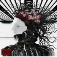 【クリックで詳細表示】DISTRESS AND COMA-Optical Impression-(初回)(DVD付) [Single， CD＋DVD， Limited Edition， Maxi]