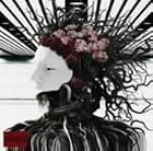 DISTRESS AND COMA-Optical Impression-(���)(DVD��)(�߸ˤ��ꡣ)