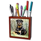 Dogs Rottweiler - Rottweiler - Tile Pen Holders-5 inch tile pen holder