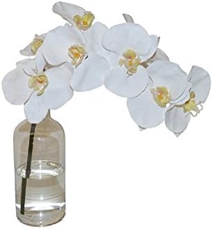 The French Bee Watergarden Collection Silk Single Stem White Phalaenopsis Orchid in a Glass Bottle