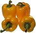 amorebio Bio Paprika gelb 1000 gr