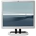 19IN L1910 LCD Monitor