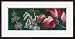 Closeup Of Redorange Leaves Seed Pods And Flowers Of Red Maple Framed Giclee Print