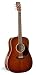 Elektronik : Art Lutherie Antique Burst C