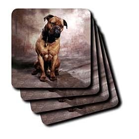 Click here to buy Bullmastiff - Set Of 8 Coasters - Soft by 3dRose LLC.