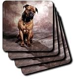 Dogs Mustiff - Bullmastiff - Coasters
