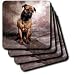 Dogs Mustiff - Bullmastiff - Coasters