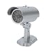 LED Wireless Ir Surveillance Dummy Security Camera