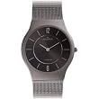 Skagen Men's Titanium Mesh Watch #233LTTM