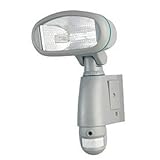 Mini Gadgets Inc FLOODLIGHTDVR Home Spy Floodlight DVR Camera