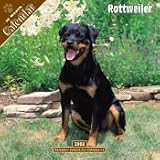 2008 Rottweiler 2008 16 Month Wall Calendar **IN STOCK NOW**