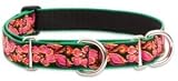 Lupine Large Martingale Style Dog Collar - Tropicana 15-22