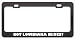 Got Louisiana Blues? Music Musical Instrument Black Metal License Plate Frame Holder Border Tag