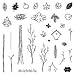 Clear Peg Stamp Set- Tree