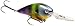 Strike King HCKVD1.5F-651 KVD 1.5 Flatside, Neon Bluegill