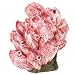 DESIGN ELEMENTS BARNACLE CLUSTER AQUARIUM ORNAMENT, Size: 4.5X3.4X4.7 (Catalog Category: Aquatics:DECORATIONS)