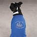 Dog Shirt - Hanukkah Royalty Princess Crown Accent Tee - Medium