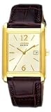 Citizen Eco-Drive Men's 100M Brown Leather Strap Watch
