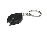 LED Key Chain Light