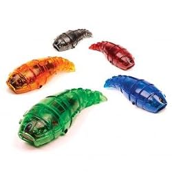 HEXBUG LARVA