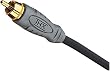 Monster THXV100-R8NF THX Certified Composite Video Cable (8 feet)