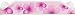 Flowers Pink - Beach Pole Caddy