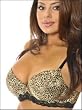 Jaguar Push Up Bra