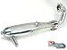 RD Logics one piece rear exhaust 