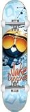 Blind Duncombe Shades Skateboard - 8.1 . w/Raw Trucks & White Wheels