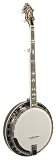 Recording King Soloist Archtop Resonator Banjo, Sunburst Finish - B001BM3WB0