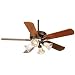 52 Casablanca Vectorâ¢ ORB Ceiling Fan