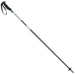 Head Skist�cke Poles Multi silber