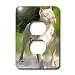 Dogs Pitbull - American Pit Bull Terrier - Light Switch Covers - 2 plug outlet cover
