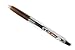 Pilot Juice 0.5mm Gel Ink Ballpoint Pen, Coffee Brown (LJU-10EF-CB)