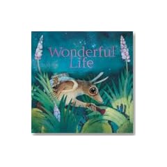 Wonderful Life