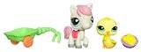 Hasbro - 15229 - Littlest Pet Shop Poupée - Les 2 Amis - Poussin et cheval