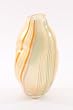 Organic Luster