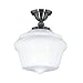 Washington-AP - 1 Light Schoolhouse Lighting Semi Flush Mount Ceiling Fixture - Pewter - B2337