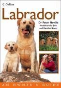 Labrador (Collins Dog Owner's Guides)