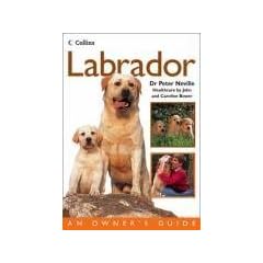 Collins Dog Owner's Guide - Labrador (Collins Dog Owner's Guides)
