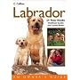 Labrador (Collins Dog Owner's Guides)