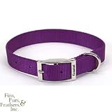 Coastal Pet Nylon Dog Collar (Purple, 22 inch L x 1 inch W)