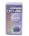 プレビジョンビルベリー&DHA(120粒)×3個