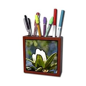 Lee Hiller Photography Hot Springs National Park Flowers - Southern Magnolia V - Tile Pen Holders-5 inch tile pen holder