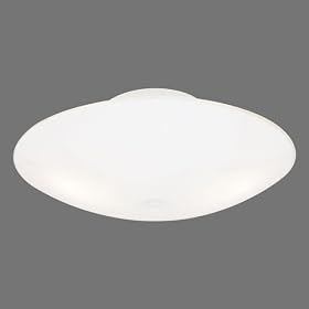 Westinghouse #66242 2 Light White Ceiling Fixture by WESTINGHOUSE LIGHTING CORP